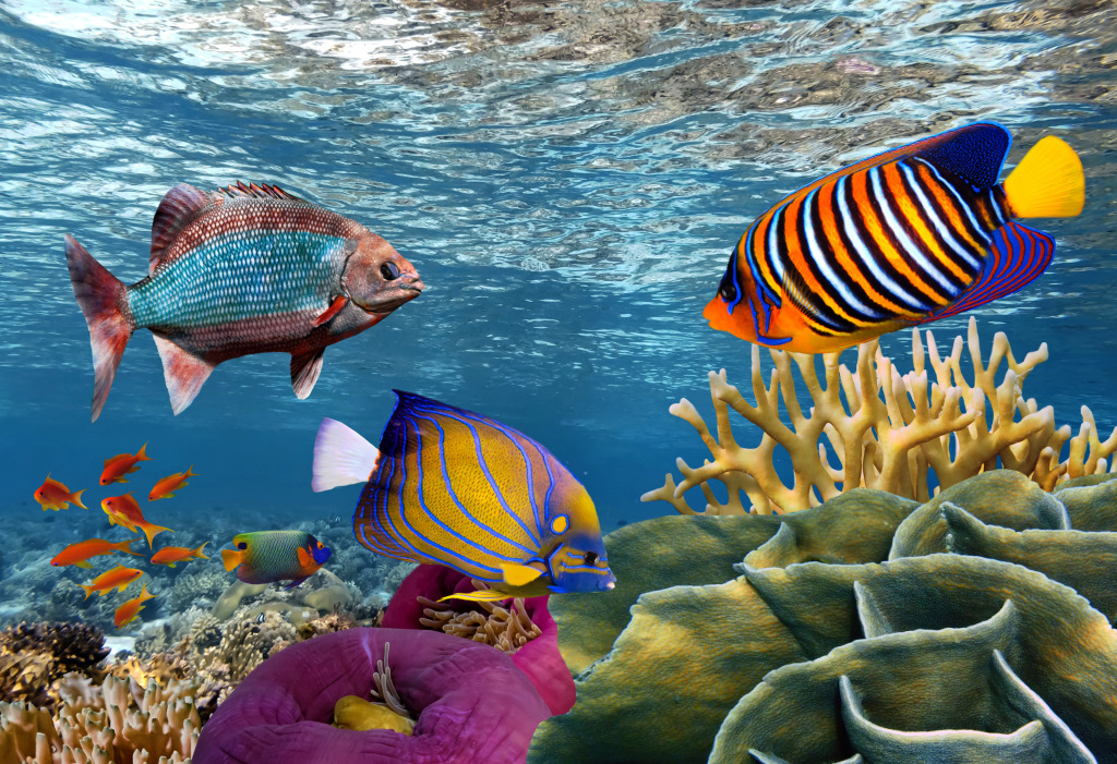 Coral Reef and Tropical Fish jigsaw puzzle in Under the Sea puzzles on TheJigsawPuzzles.com