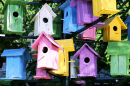 Bird Houses