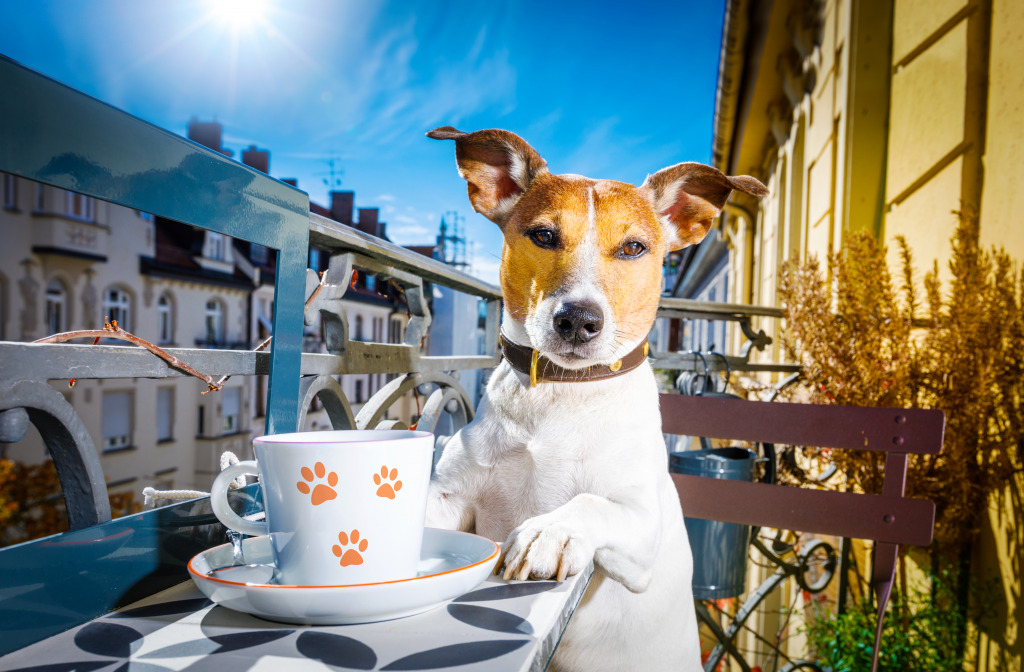 Jack Russell Terrier Having Tea jigsaw puzzle in Animals puzzles on TheJigsawPuzzles.com