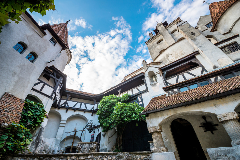 Bran Castle, Romania jigsaw puzzle in Castles puzzles on TheJigsawPuzzles.com