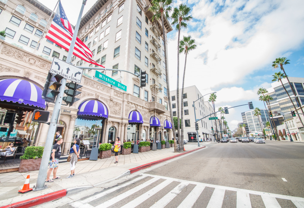 Wilshire Blvd, Los Angeles jigsaw puzzle in Street View puzzles on TheJigsawPuzzles.com