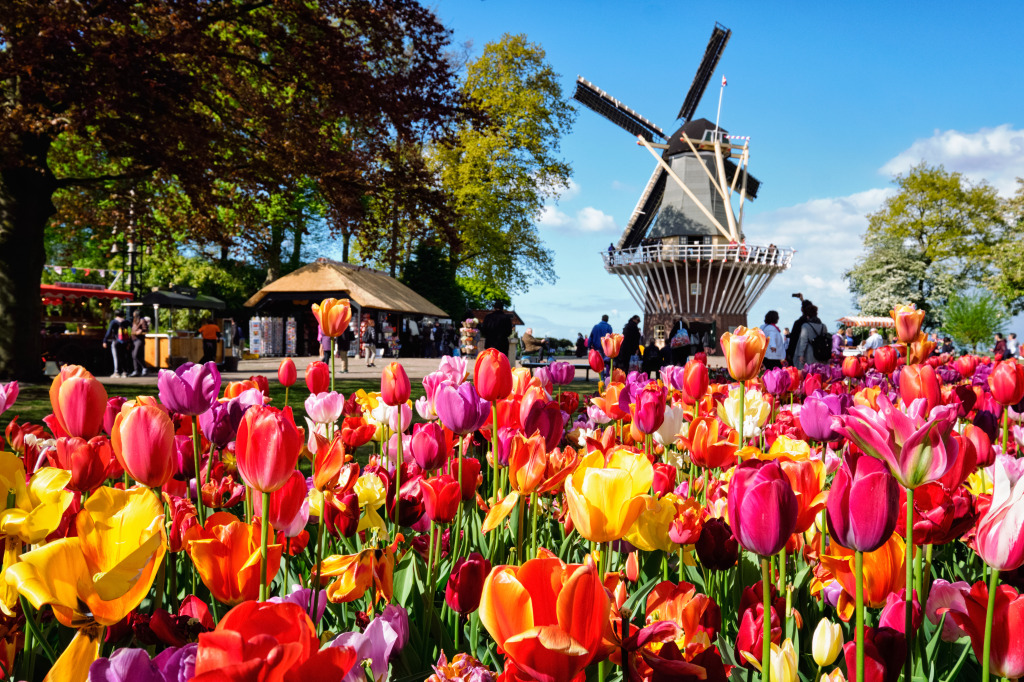 Keukenhof, Netherlands jigsaw puzzle in Flowers puzzles on TheJigsawPuzzles.com