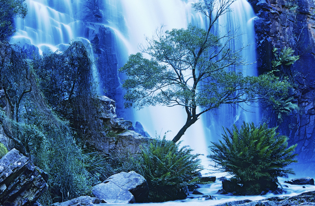 Waterfall in the Australian Forest jigsaw puzzle in Waterfalls puzzles on TheJigsawPuzzles.com