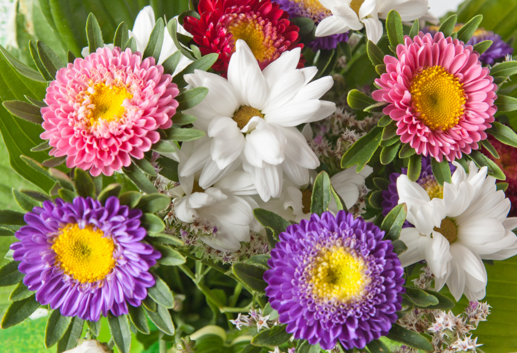 Summer Flowers jigsaw puzzle in Flowers puzzles on TheJigsawPuzzles.com