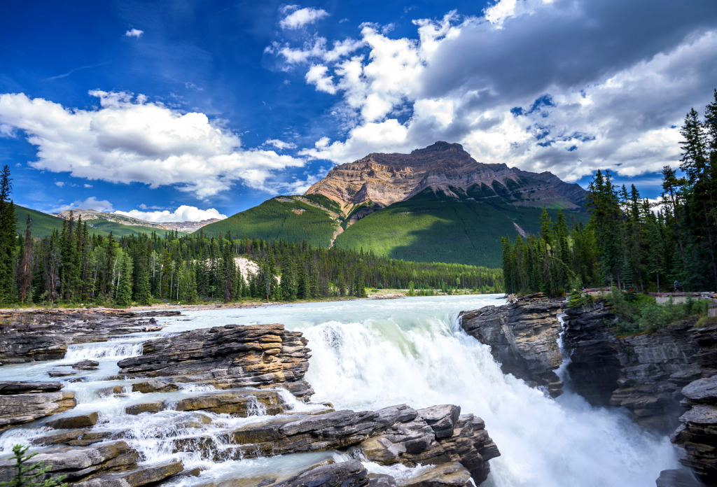 Athabasca Waterfall, Jasper NP, Canada jigsaw puzzle in Waterfalls puzzles on TheJigsawPuzzles.com