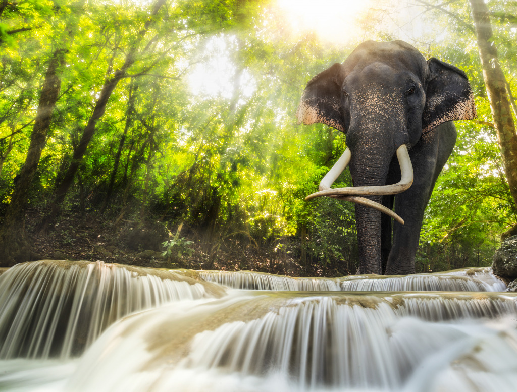 Erawan Waterfall, Kanchanaburi, Thailand jigsaw puzzle in Waterfalls puzzles on TheJigsawPuzzles.com