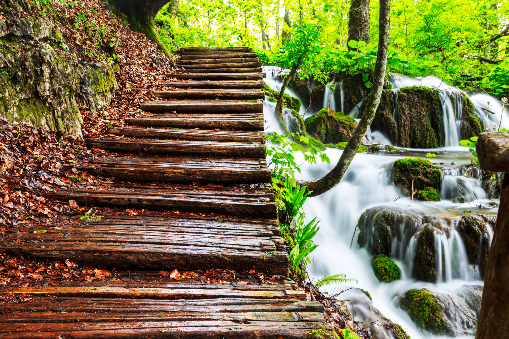 Plitvice National Park, Croatia jigsaw puzzle in Waterfalls puzzles on TheJigsawPuzzles.com