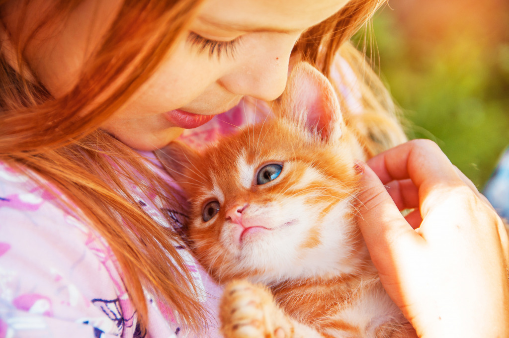 Little Girl with a Red Kitten jigsaw puzzle in People puzzles on TheJigsawPuzzles.com