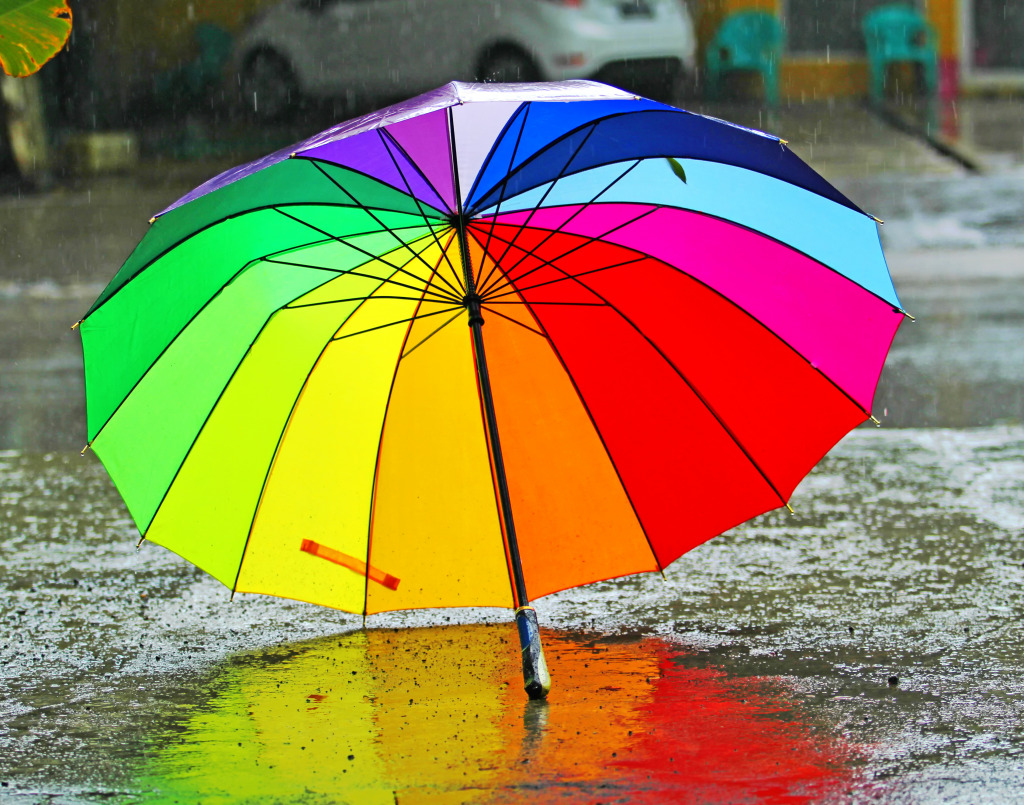 Rainbow Umbrella jigsaw puzzle in Puzzle of the Day puzzles on TheJigsawPuzzles.com