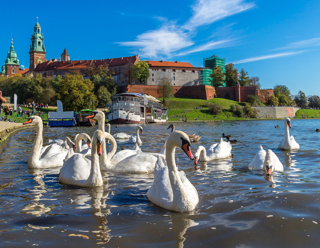 Wawel Castle in Krakow, Poland jigsaw puzzle in Castles puzzles on TheJigsawPuzzles.com