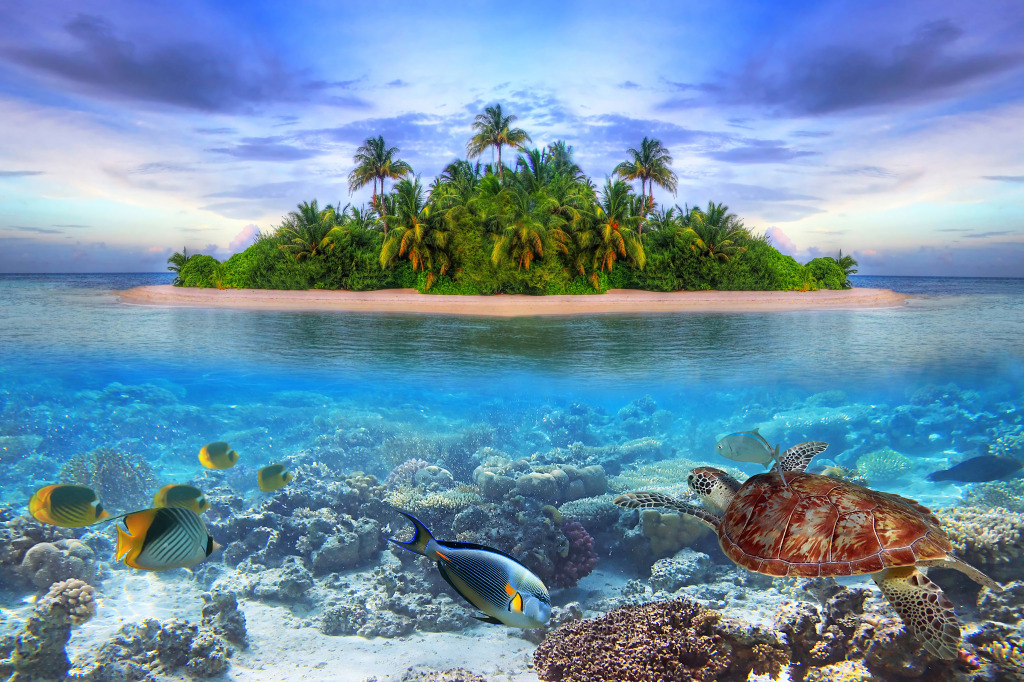 Tropical Island of Maldives jigsaw puzzle in Under the Sea puzzles on TheJigsawPuzzles.com