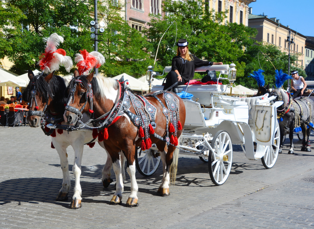 Horse-drawn Carriages in Kracow, Poland jigsaw puzzle in Puzzle of the Day puzzles on TheJigsawPuzzles.com