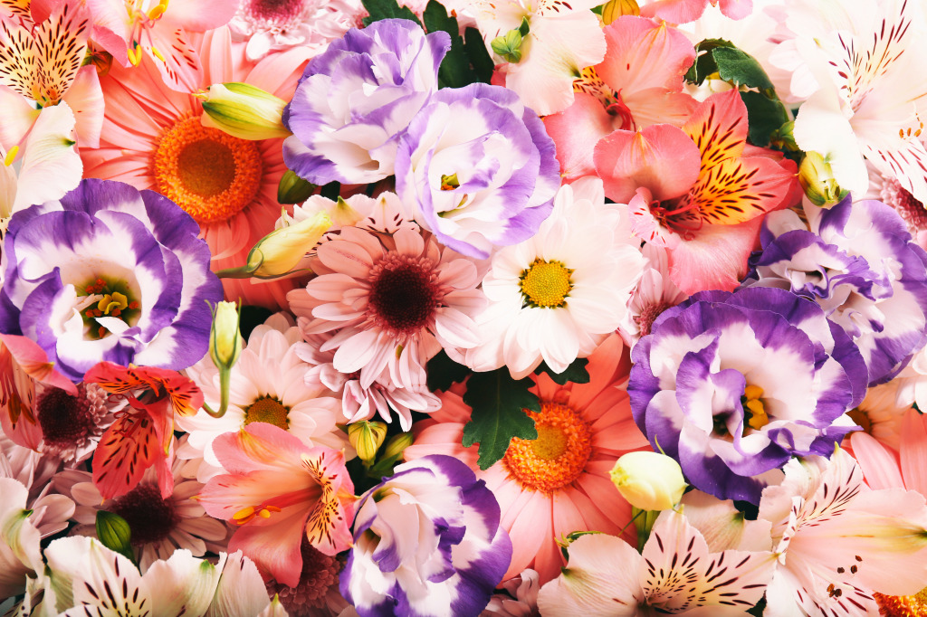 Colorful Flowers jigsaw puzzle in Flowers puzzles on TheJigsawPuzzles.com