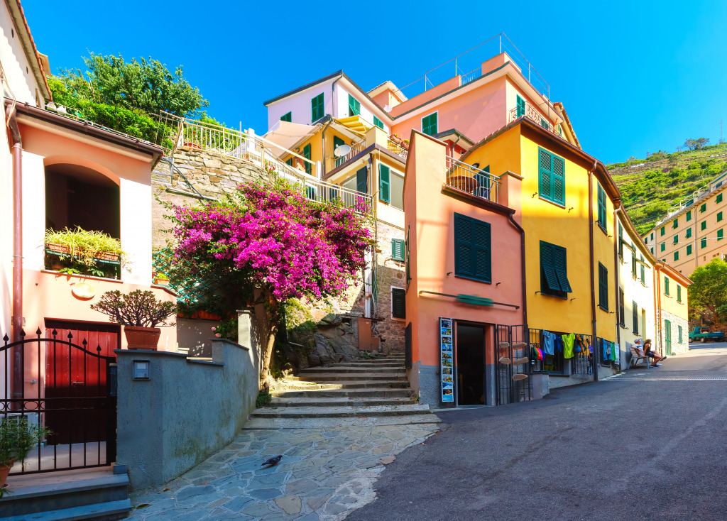 Manarola Fishing Village, Liguria, Italy jigsaw puzzle in Street View puzzles on TheJigsawPuzzles.com