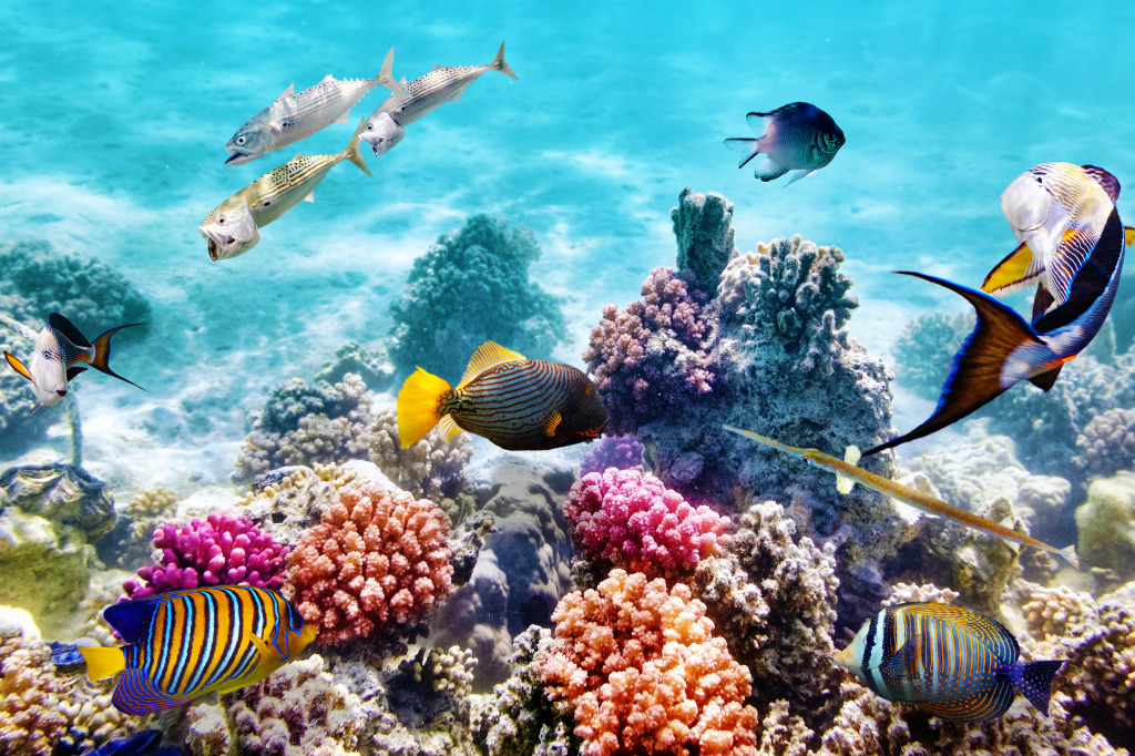 Corals and Tropical Fish jigsaw puzzle in Under the Sea puzzles on TheJigsawPuzzles.com