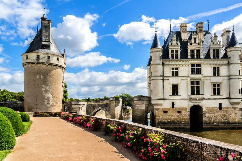 Chateau de Chenonceau, Loire Valley, France jigsaw puzzle in Castles puzzles on TheJigsawPuzzles.com