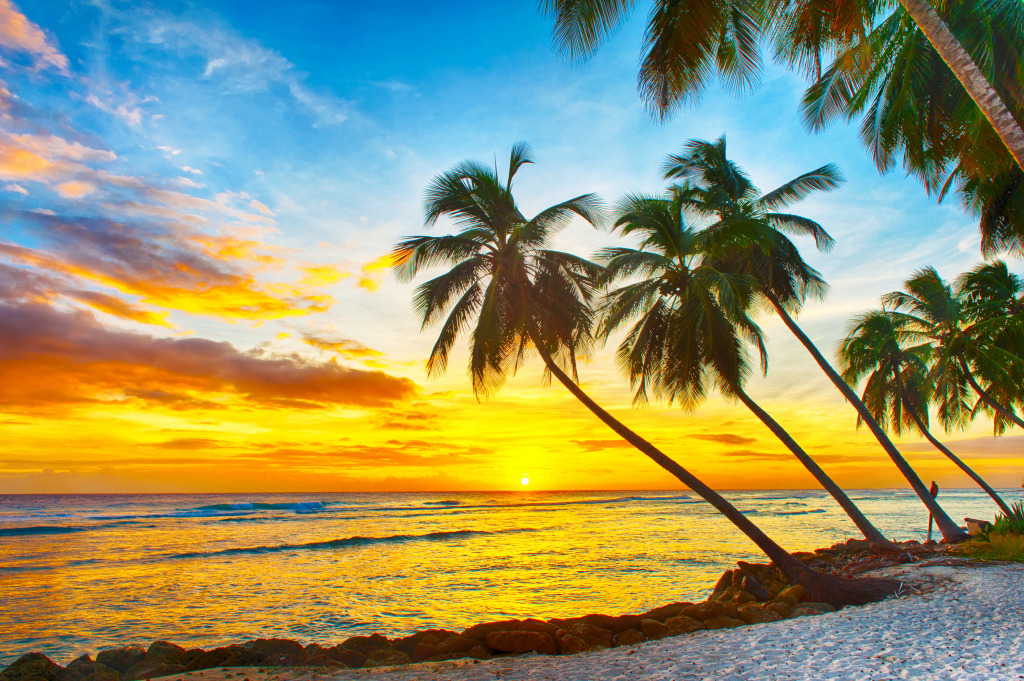 Caribbean Island of Barbados jigsaw puzzle in Great Sightings puzzles on TheJigsawPuzzles.com