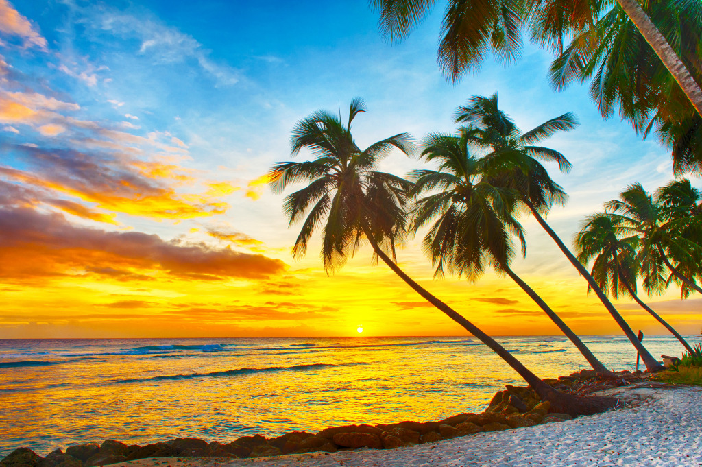 Caribbean Island of Barbados jigsaw puzzle in Great Sightings puzzles on TheJigsawPuzzles.com