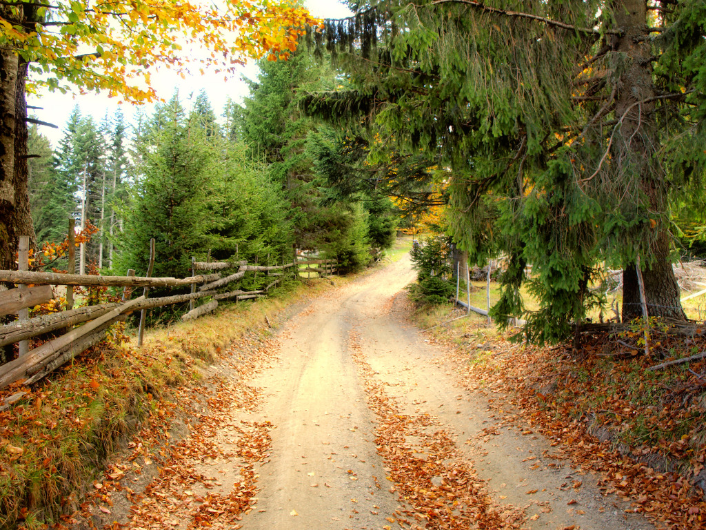 Autumn Wisconsin Landscape jigsaw puzzle in Great Sightings puzzles on TheJigsawPuzzles.com