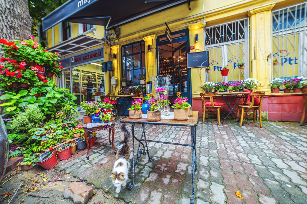 Street Cafe in Istanbul, Turkey jigsaw puzzle in Flowers puzzles on TheJigsawPuzzles.com