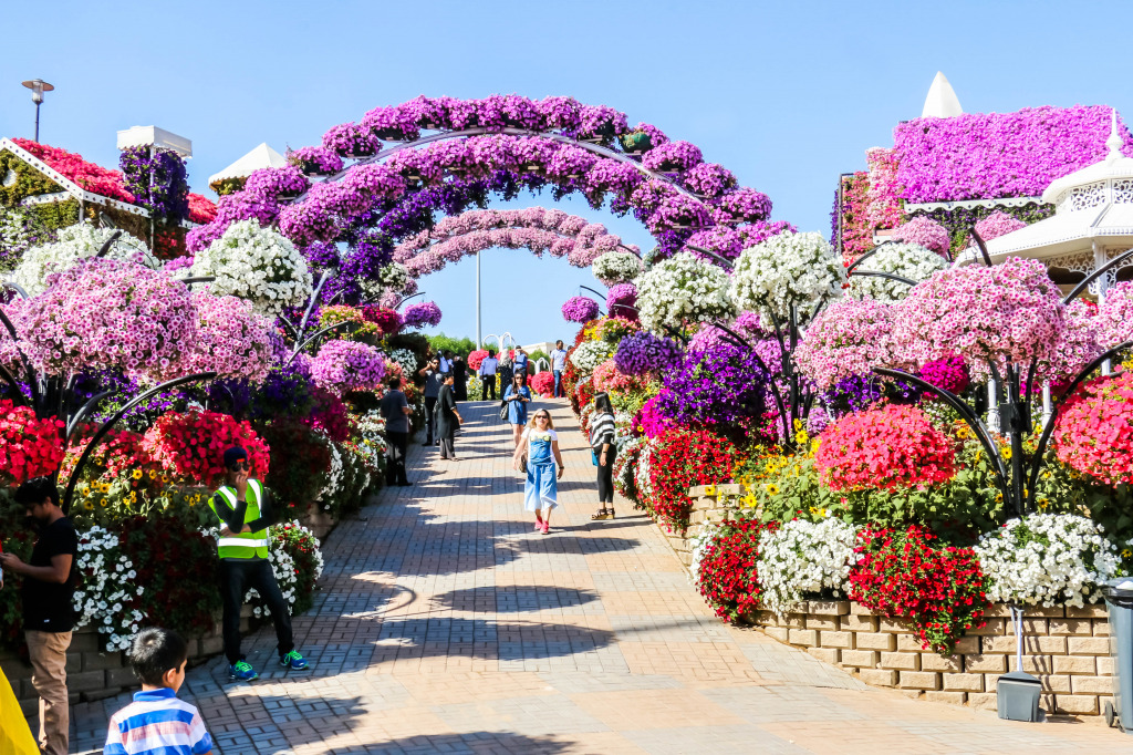 Dubai Miracle Flower Garden jigsaw puzzle in Flowers puzzles on TheJigsawPuzzles.com