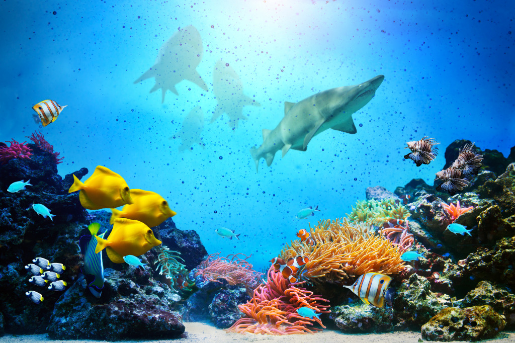 Coral Reef and Tropical Fish jigsaw puzzle in Puzzle of the Day puzzles on TheJigsawPuzzles.com