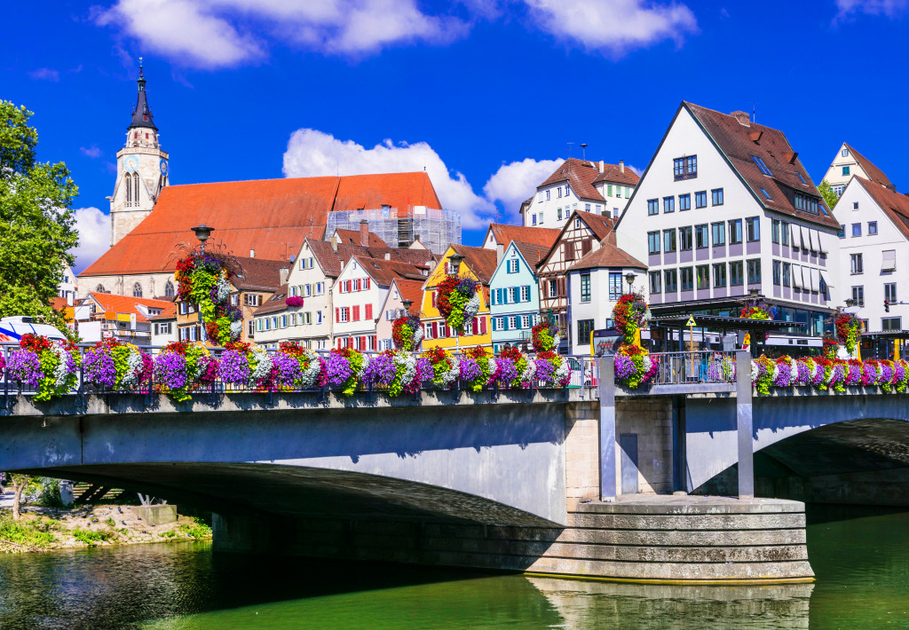 Tübingen, Germany jigsaw puzzle in Bridges puzzles on TheJigsawPuzzles.com