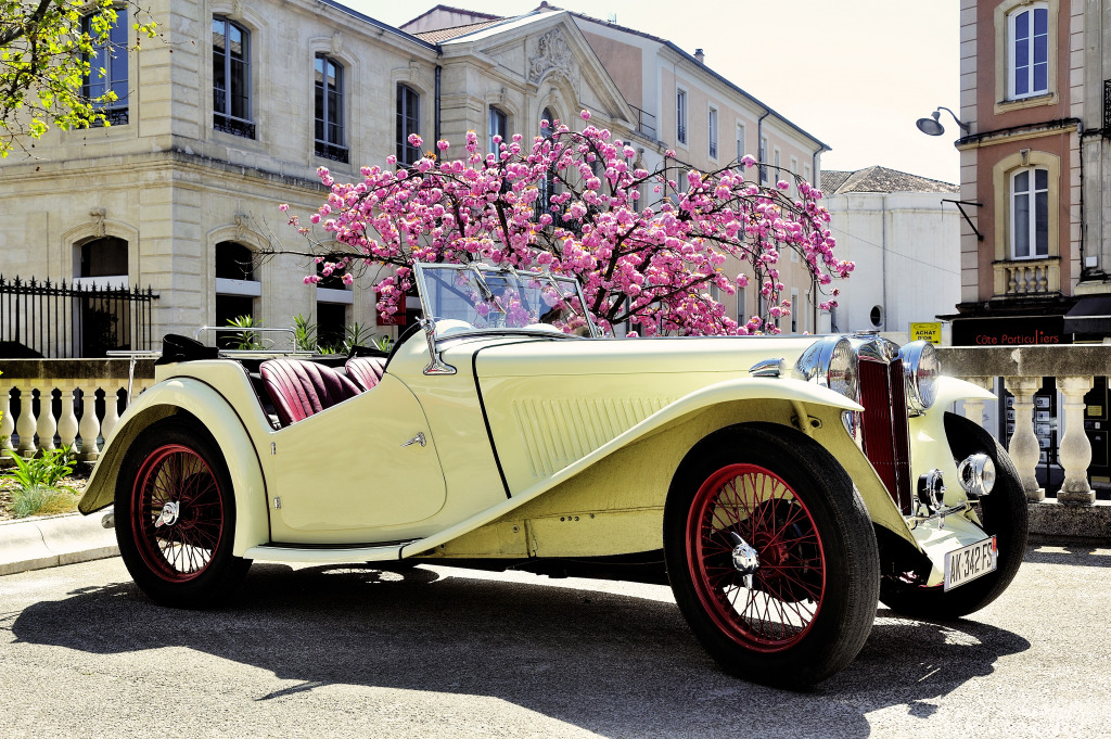 1953 MG Sports car in Ales, France jigsaw puzzle in Cars & Bikes puzzles on TheJigsawPuzzles.com