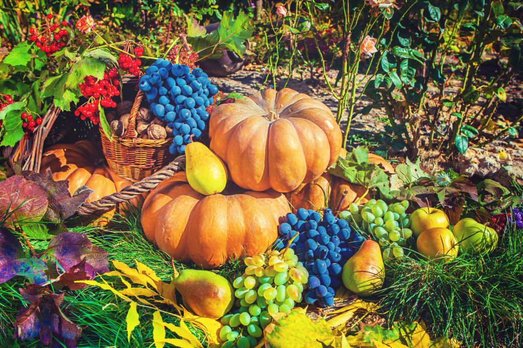 Pumpkins, Grapes and Apples jigsaw puzzle in Fruits & Veggies puzzles on TheJigsawPuzzles.com