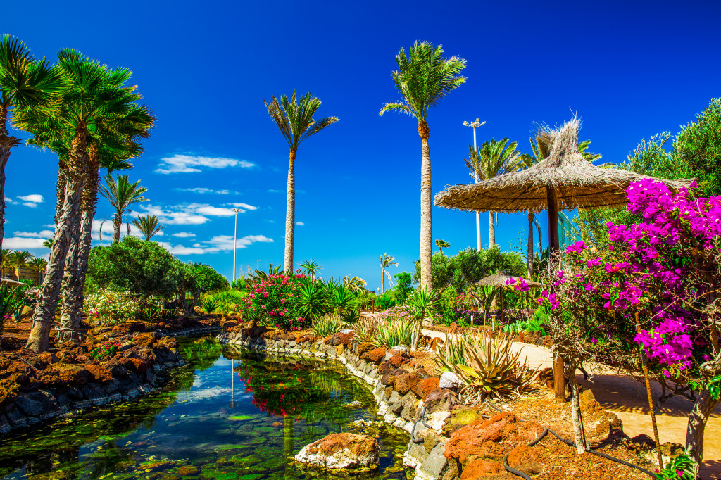 Fuerteventura, Canary Islands jigsaw puzzle in Great Sightings puzzles on TheJigsawPuzzles.com