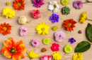 Flowers on a Wooden Table