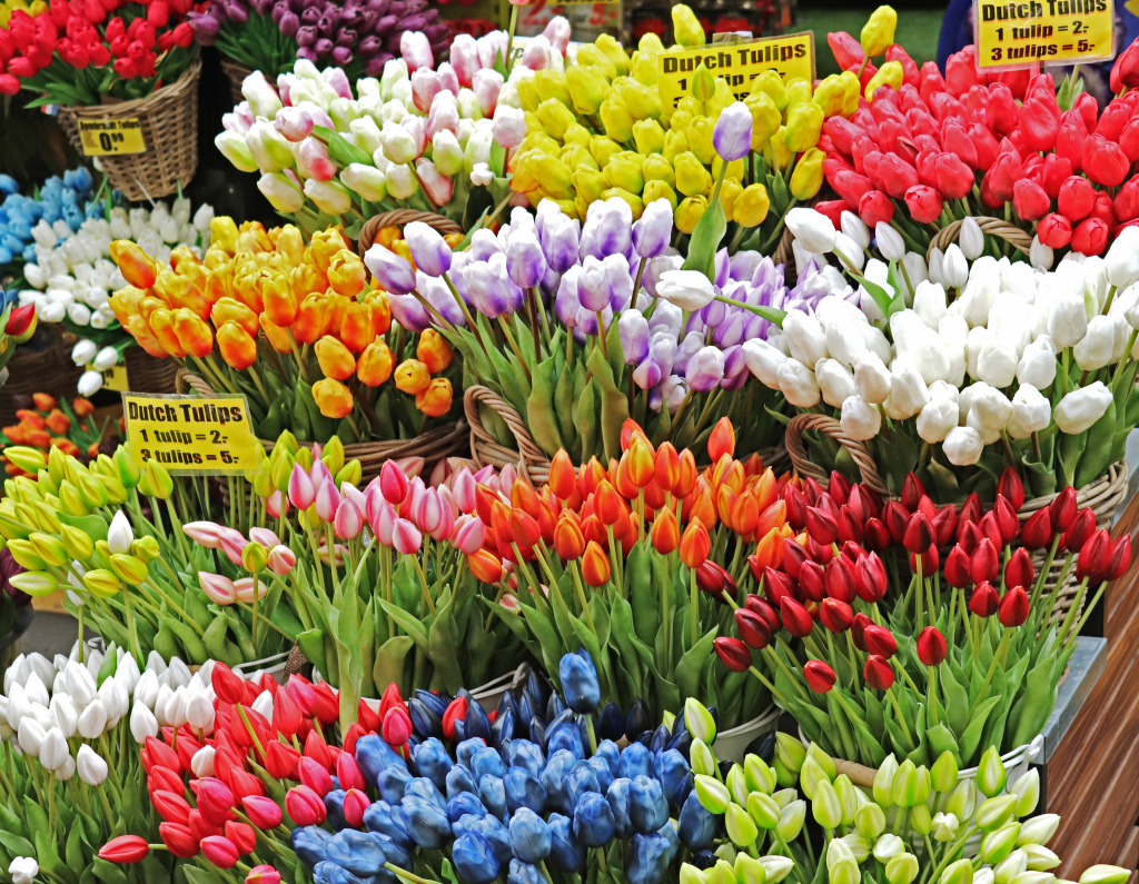Amsterdam Tulip Market jigsaw puzzle in Flowers puzzles on TheJigsawPuzzles.com