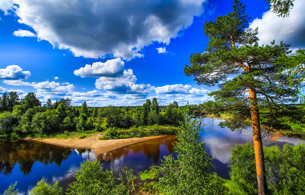 Summer River Landscape jigsaw puzzle in Great Sightings puzzles on TheJigsawPuzzles.com