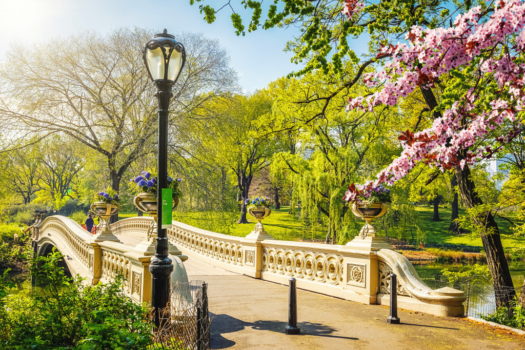 Bow Bridge, Central Park, New York City jigsaw puzzle in Bridges puzzles on TheJigsawPuzzles.com