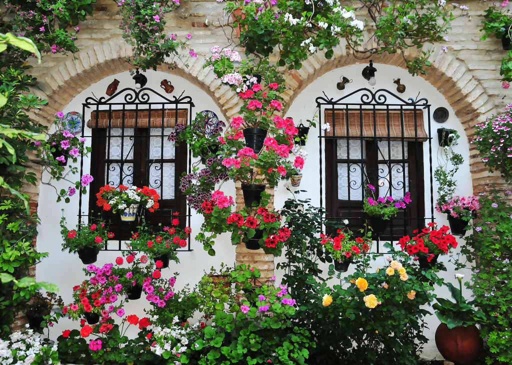 The City of Cordoba, Spain jigsaw puzzle in Flowers puzzles on TheJigsawPuzzles.com