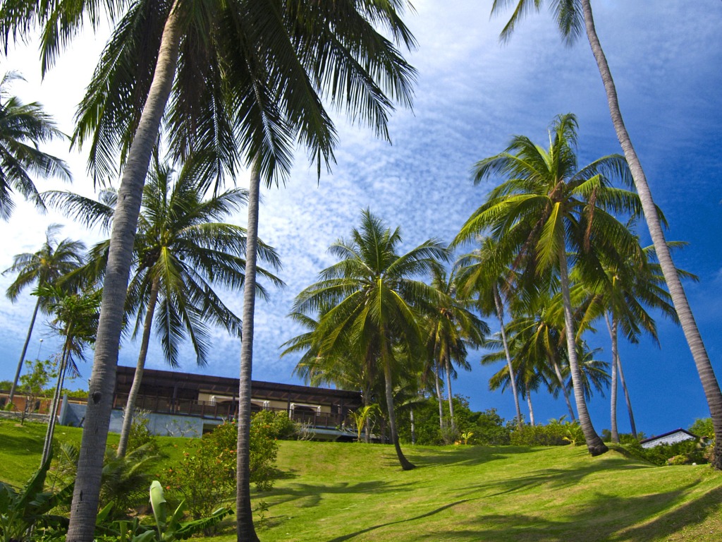 Koh Samui, Thailand jigsaw puzzle in Great Sightings puzzles on TheJigsawPuzzles.com