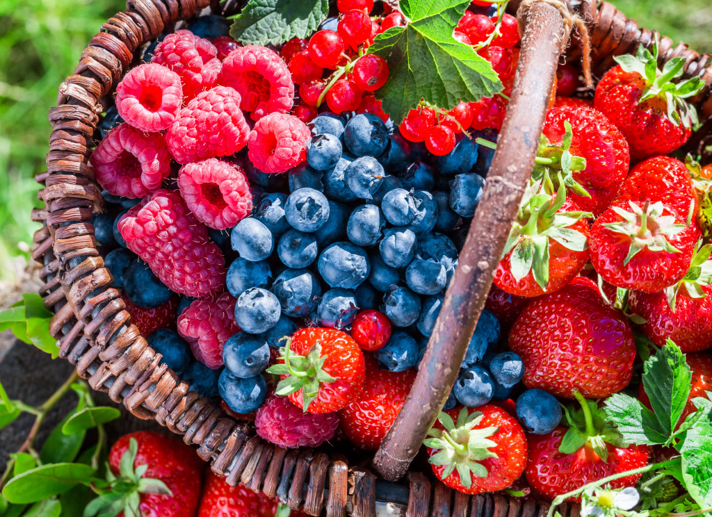 Fresh Berries in the Garden jigsaw puzzle in Macro puzzles on TheJigsawPuzzles.com