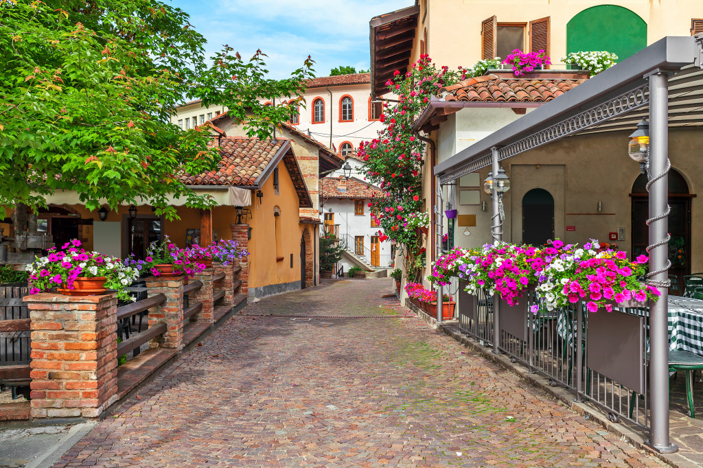 Town of Barolo, Piedmont, Italy jigsaw puzzle in Street View puzzles on TheJigsawPuzzles.com