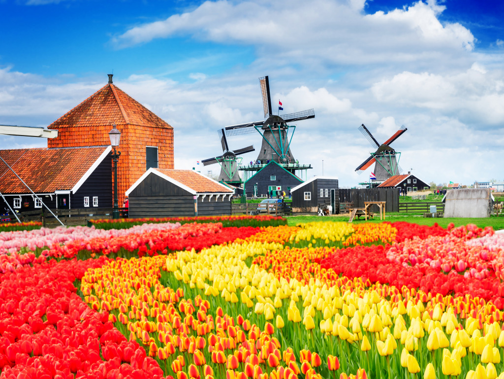 Dutch Rural Scene with Windmills jigsaw puzzle in Puzzle of the Day puzzles on TheJigsawPuzzles.com