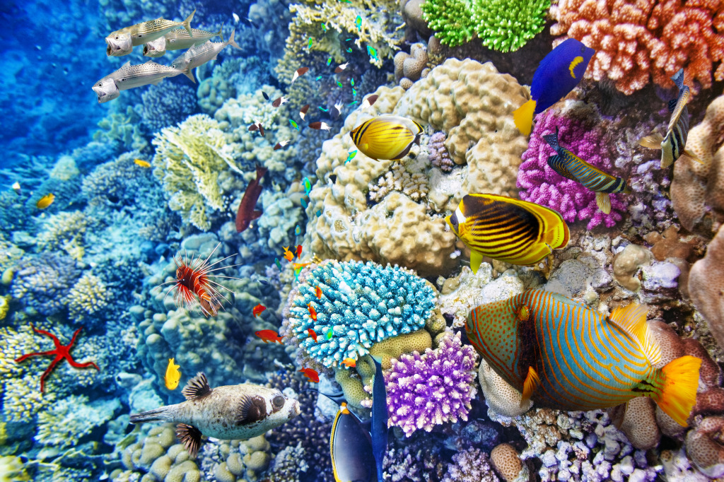 Underwater World with Corals and Tropical Fish jigsaw puzzle in Under the Sea puzzles on TheJigsawPuzzles.com