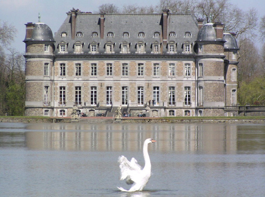Swan Lake, Castle of Beloeil, Belgium jigsaw puzzle in Castles puzzles on TheJigsawPuzzles.com