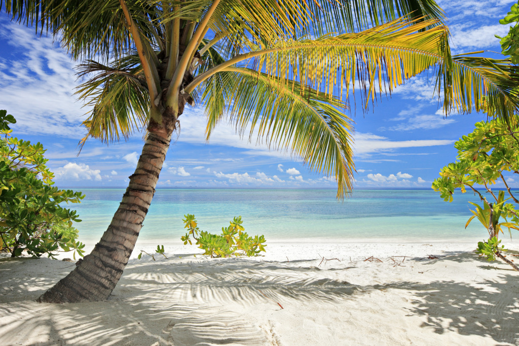 Palm Trees and Sandy Beach, Maldives jigsaw puzzle in Great Sightings puzzles on TheJigsawPuzzles.com