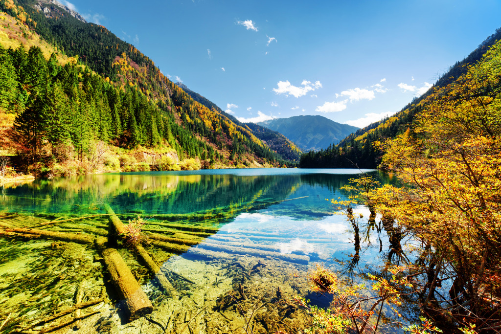 The Arrow Bamboo Lake, China jigsaw puzzle in Puzzle of the Day puzzles on TheJigsawPuzzles.com