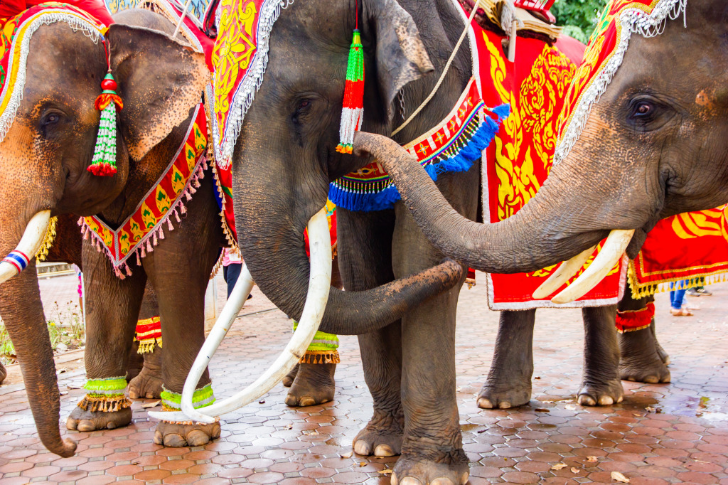 Decorated Elephants in Thailand jigsaw puzzle in Animals puzzles on TheJigsawPuzzles.com