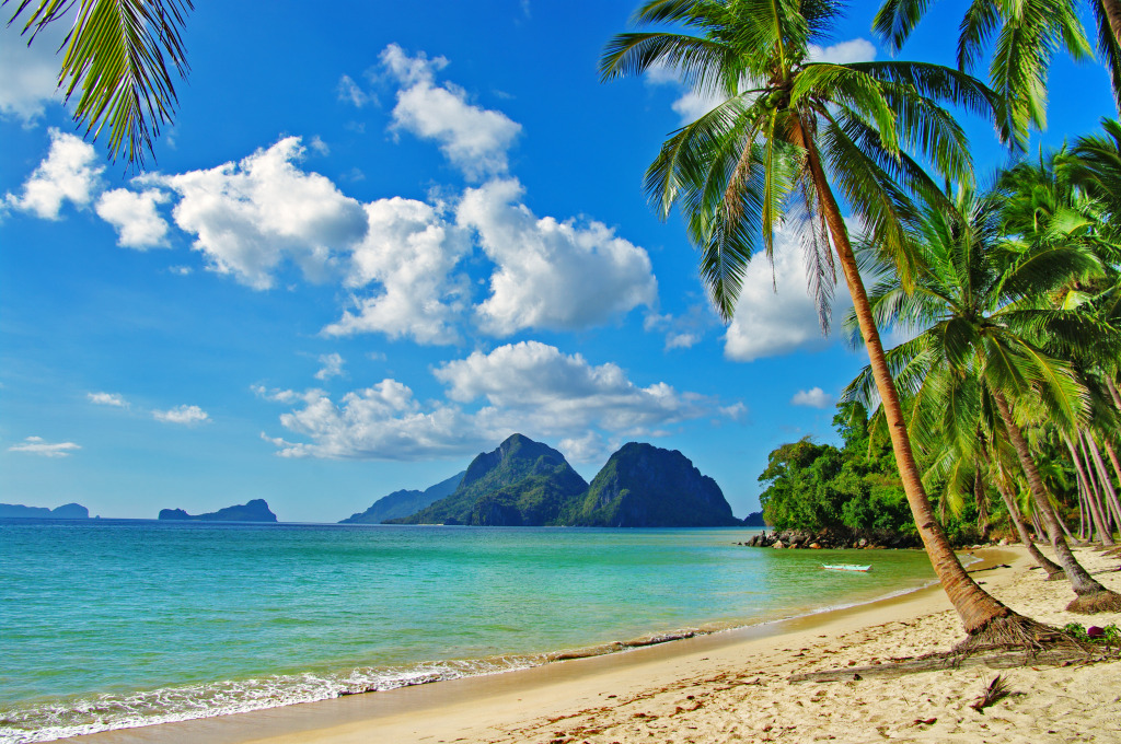 Tropical Beach jigsaw puzzle in Great Sightings puzzles on TheJigsawPuzzles.com