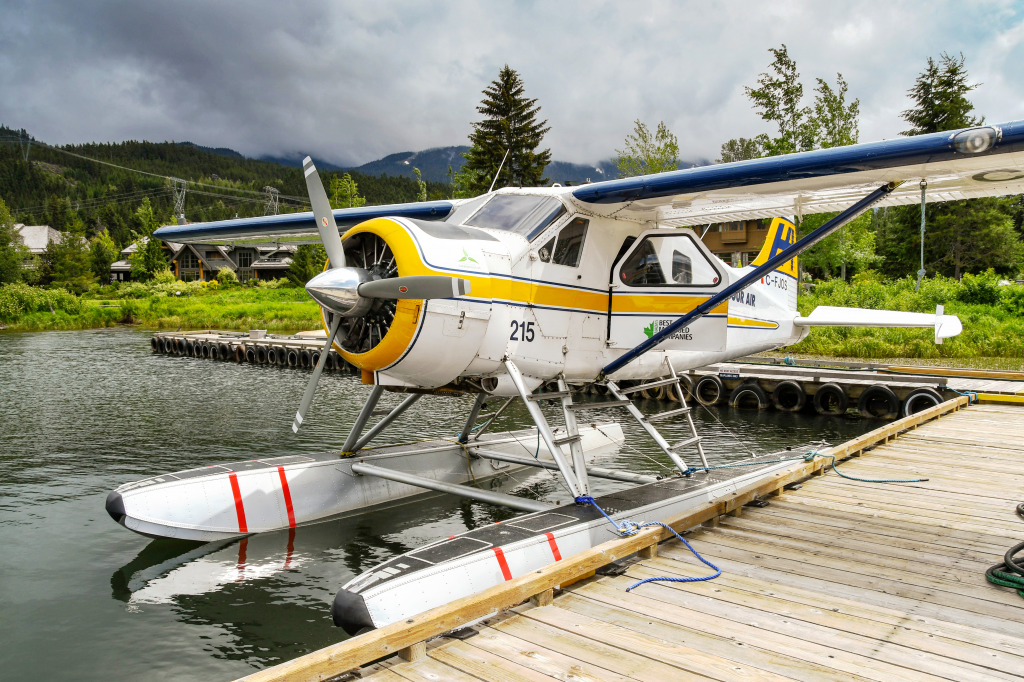 De Havilland Beaver Seaplane in Canada jigsaw puzzle in Aviation puzzles on TheJigsawPuzzles.com