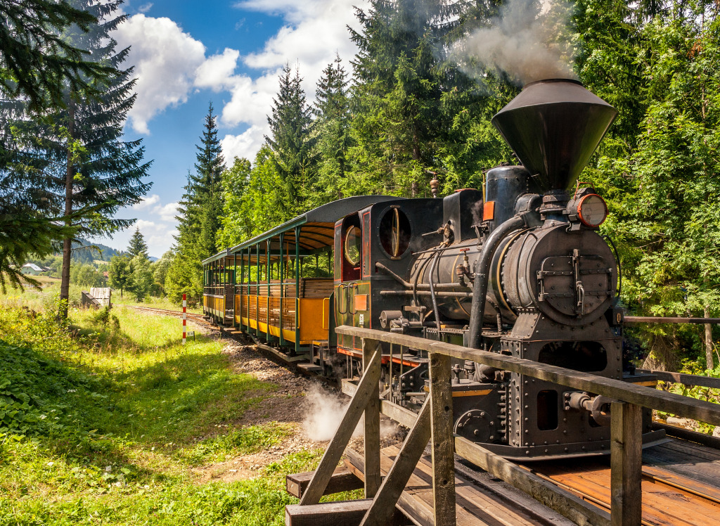 Forest Railway, Vychylovka Village, Slovakia jigsaw puzzle in Puzzle of the Day puzzles on TheJigsawPuzzles.com