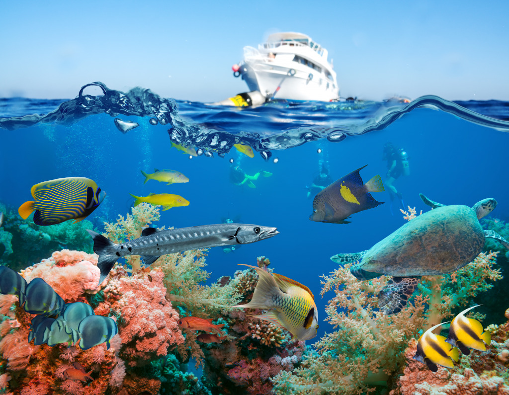 Tropical Fish and Coral Reef, Red Sea jigsaw puzzle in Under the Sea puzzles on TheJigsawPuzzles.com