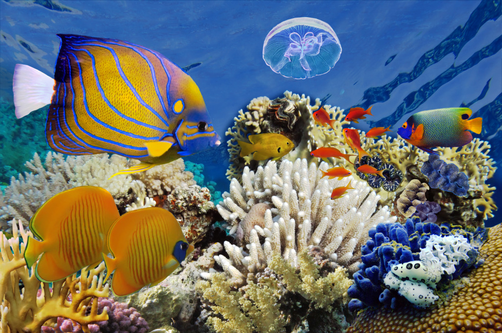 Beautiful Underwater World jigsaw puzzle in Under the Sea puzzles on TheJigsawPuzzles.com