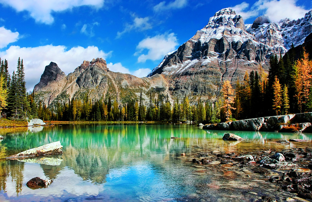 Mount Huber and Opabin Plateau, Yoho NP jigsaw puzzle in Great Sightings puzzles on TheJigsawPuzzles.com